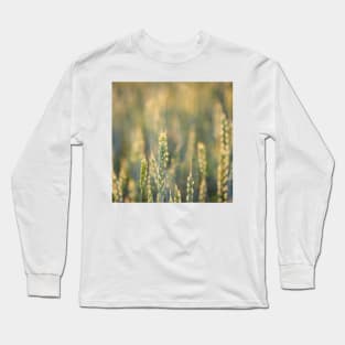 Common Wheat Long Sleeve T-Shirt